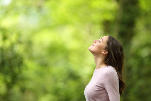istockphoto 1314559532 612x612 1