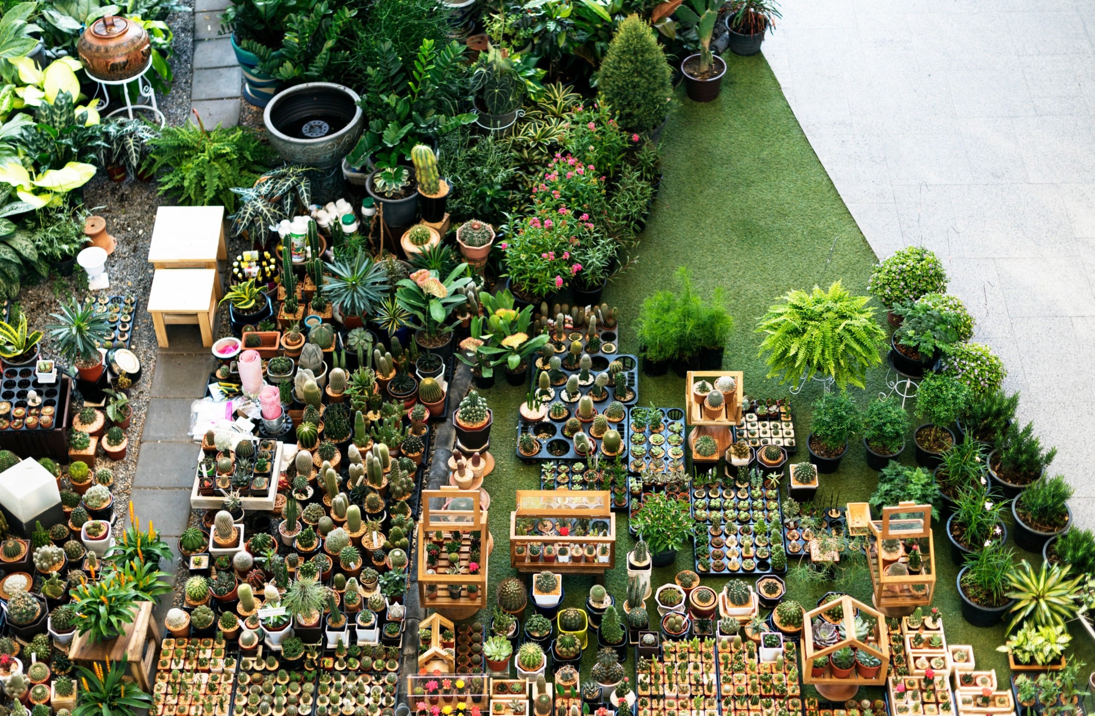 backyard remodeling