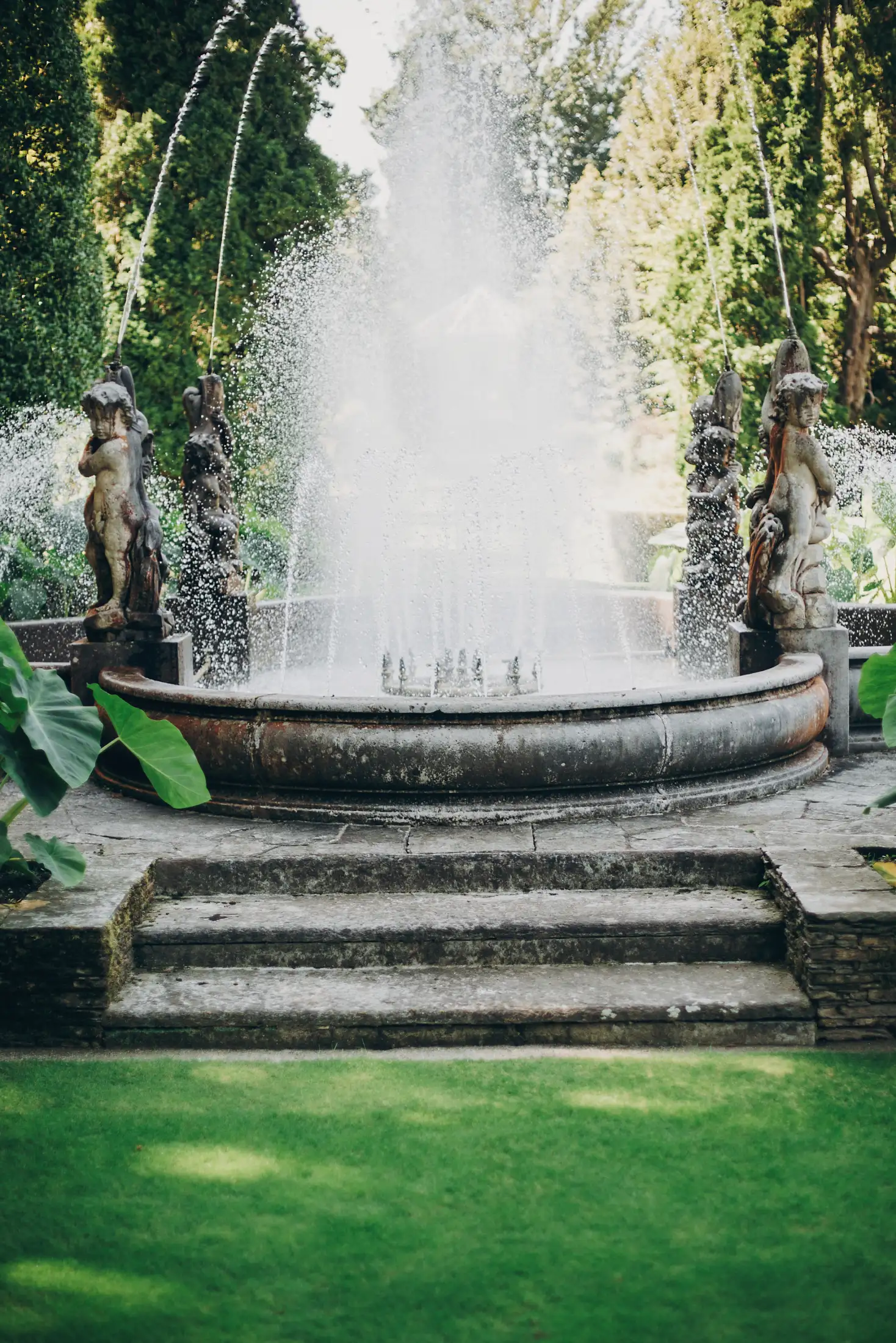 Water Features 1