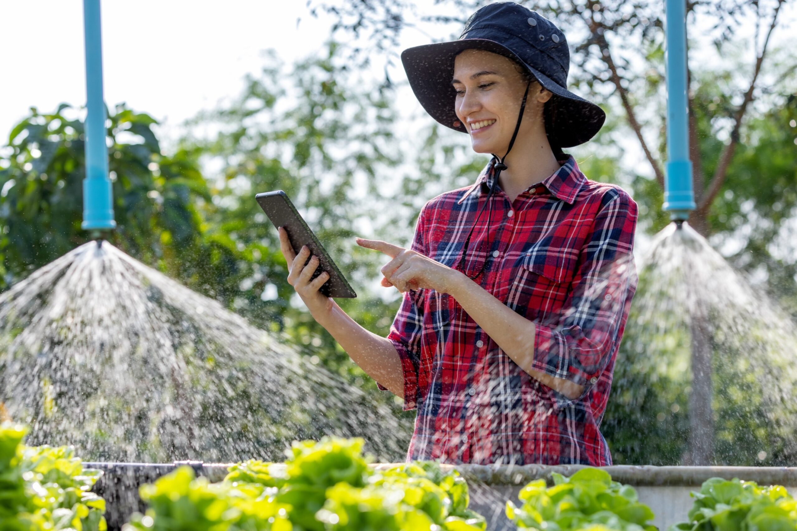 Luxury Landscape Company