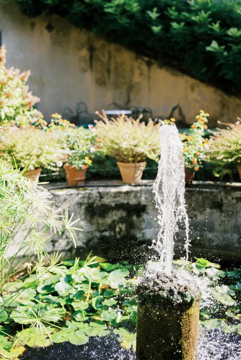 Water Features 12 sparkling water in a fountain surrounded by water 2025 01 09 02 03 33 utc 1x